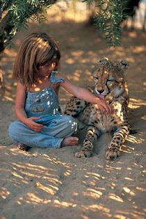 1239626_637397159626207_1289101065_n - Natura