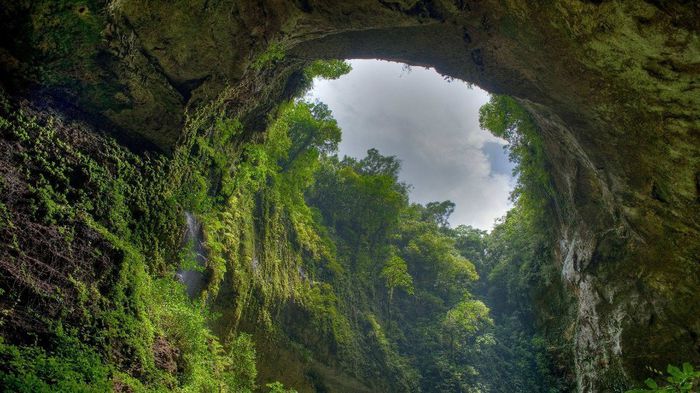 1263976_707229219291448_1377428002_o - Natura