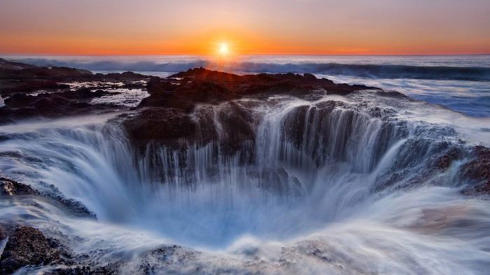 1271208_707753599239010_1619098499_o - Natura