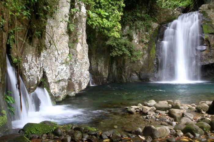 1271866_708749112472792_280545094_o - Natura