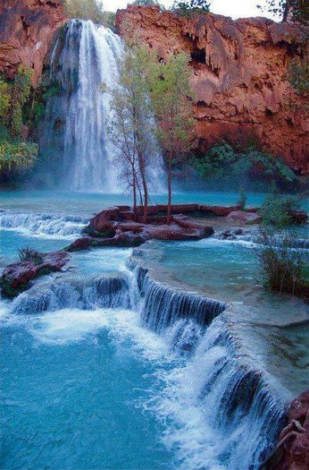1496673_199575153569797_1747063462_n - Natura