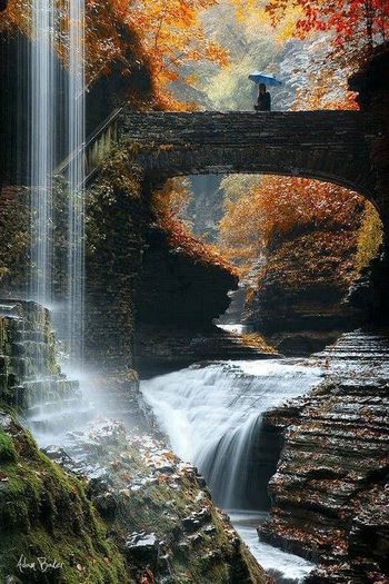 1536631_199422490251730_360775103_n - Natura