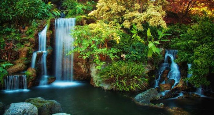 1546128_664829870246285_1541488952_n - Natura