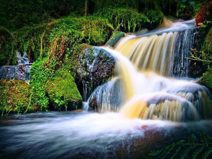 1554495_665295463533059_830643858_n - Natura