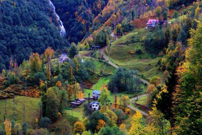 1622013_662996353762970_514817975_n - Natura