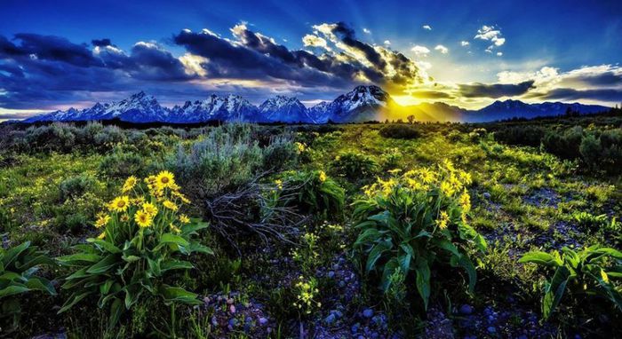 1779877_664830163579589_1517291420_n - Natura