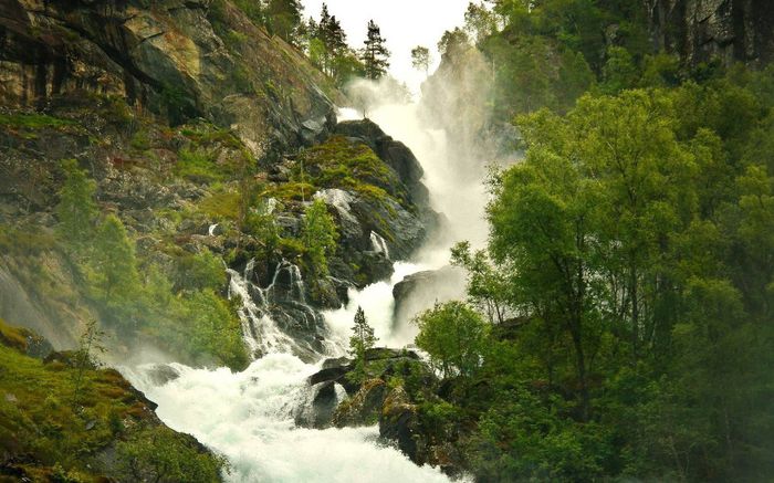 1781020_622260197829767_862844625_o - Natura