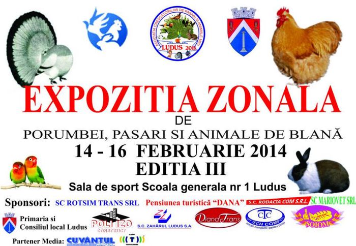 148166 vizite - S- Expozitie Zonala Ludus 2014