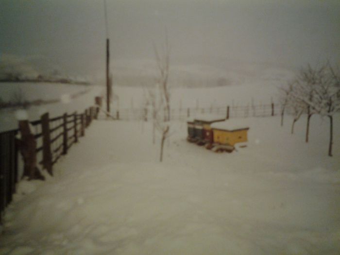 Iarna 2003-2004; Prima iarna cu emotii mari
