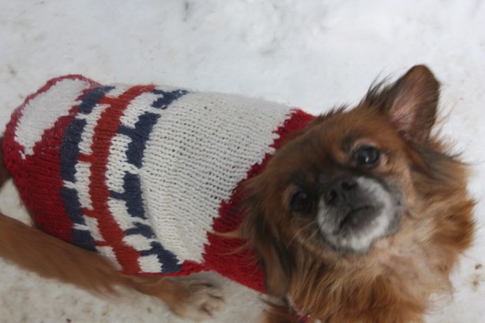 IMG_0699; Multumesc draga Elluta pentru hainuta!
