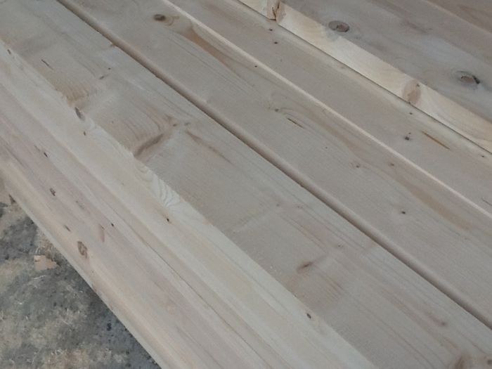 lemn molid - Atelier apicol