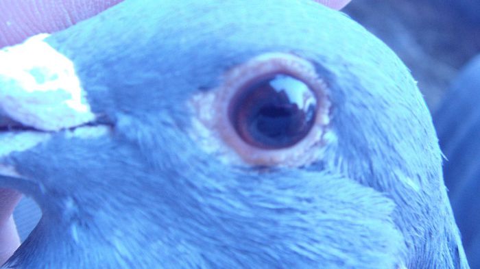 DSC06604