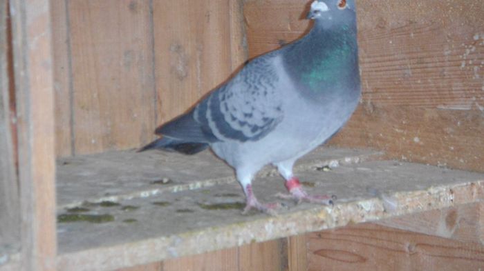 DSC06652