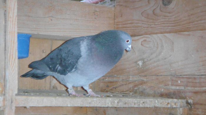 DSC06658