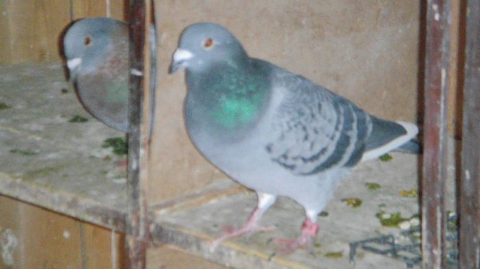 DSC06692