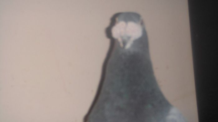 DSC04180