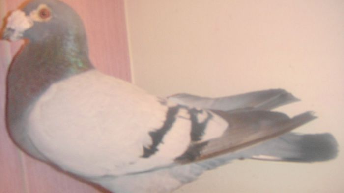DSC04188