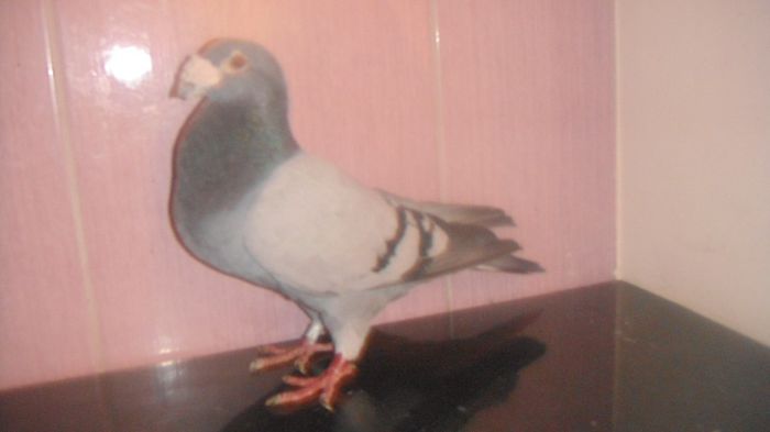 DSC04191