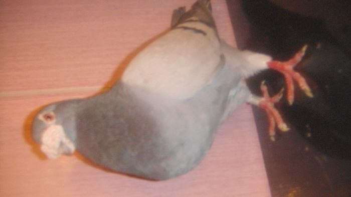DSC04192