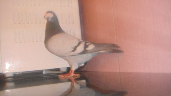 DSC04200