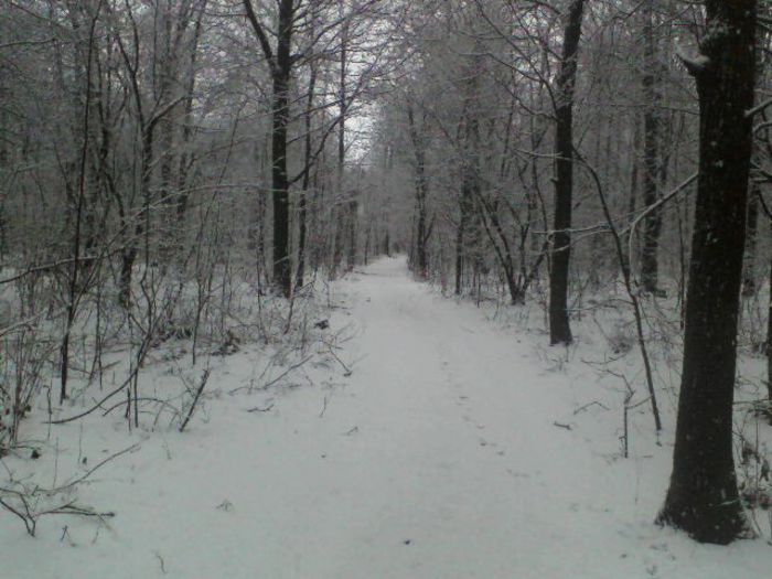 ABCD0004 - ANUNTURI GRATIS