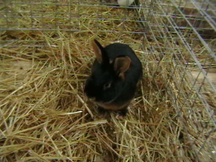 EXPO 2014 MARAMURES - EXPOZITII MARAMURES