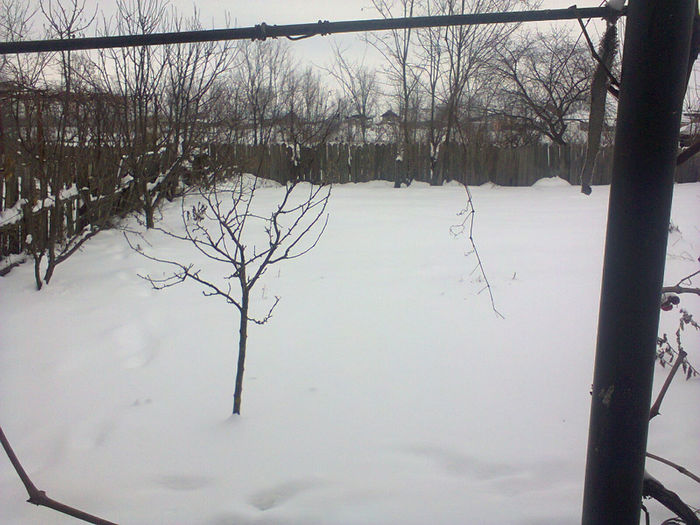 Photo0360 - a venit iarna 2012-2014