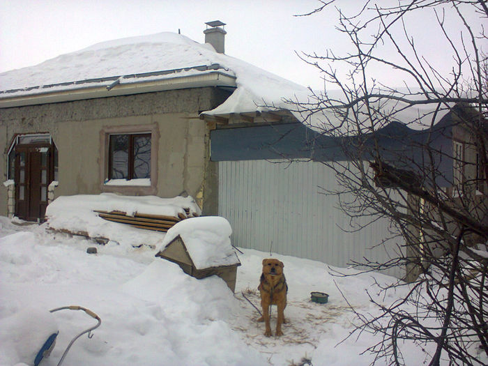Photo0362 - a venit iarna 2012-2014