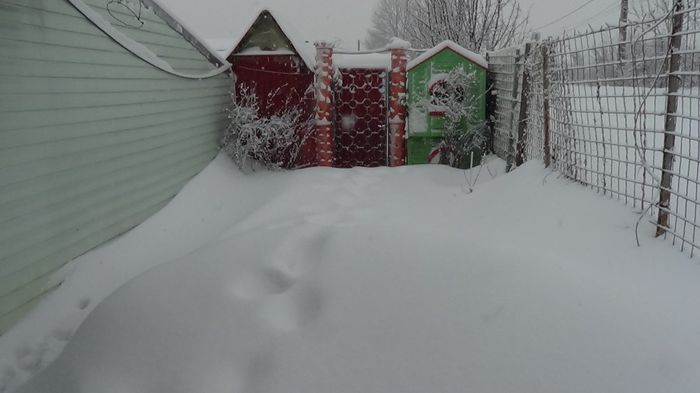 DSC00625