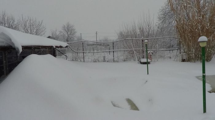 DSC00650