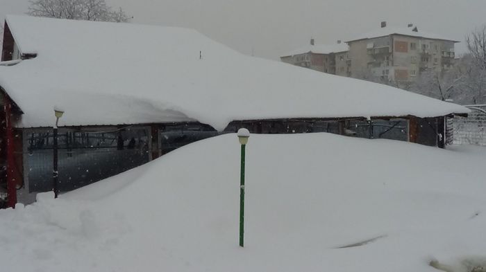 DSC00658