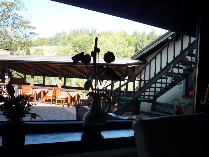 DIN RESTAURANTUL VILEI