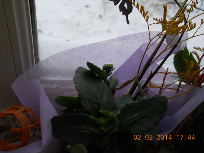 031 - FLORI 2014