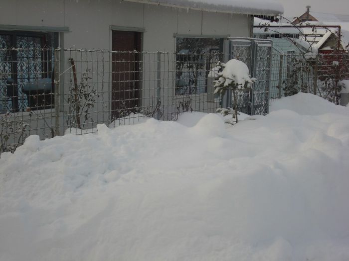 DSC06229