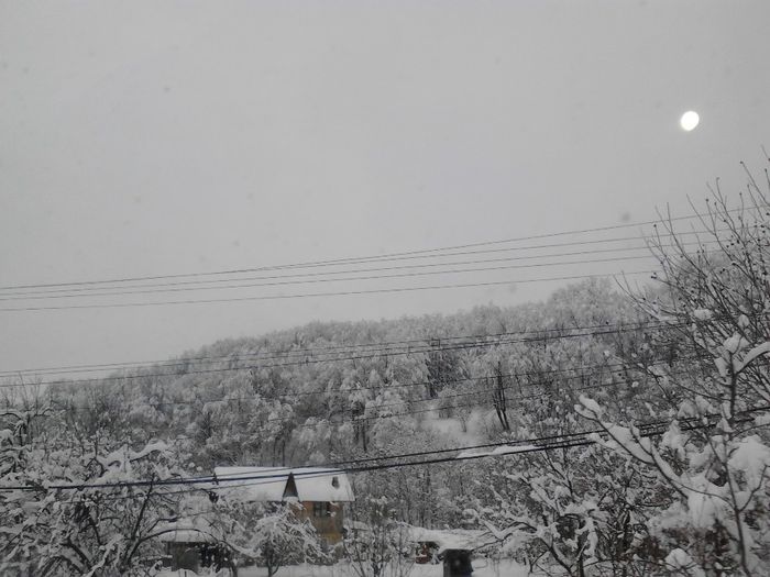 IMG_20140201_095941