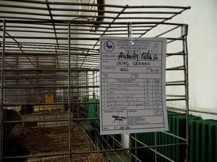 DSCF7571 - Expozitie MARAMURES 31 ianuarie-2 februarie 2014