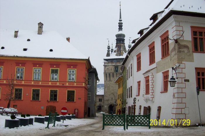 100_4448 - DE GUSTIBUS  ET COLORIBUS NON DISPUTANDUM