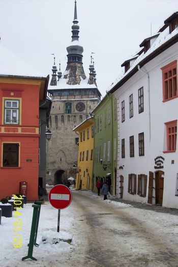 BRENDUL SIGHISORI UMBRIT DE ACEST SEMN INFIPT INTR-UN BLOC DE BETON MOBIL