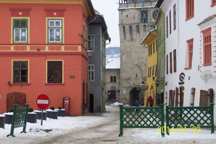 100_4449 - DE GUSTIBUS  ET COLORIBUS NON DISPUTANDUM