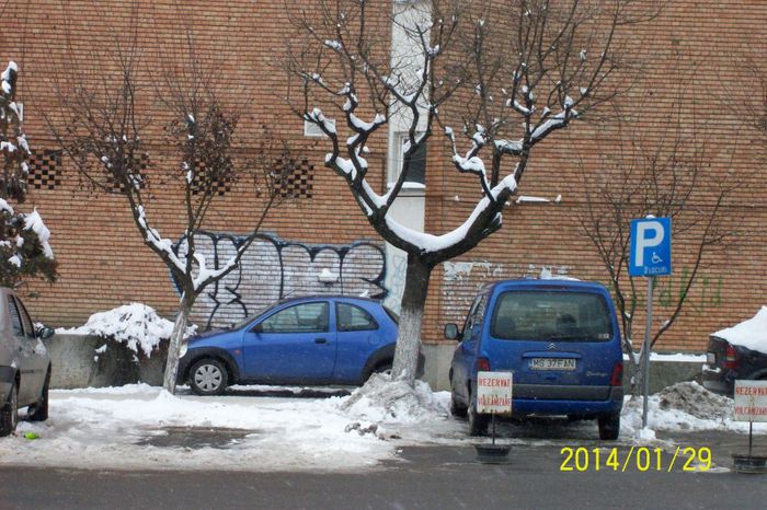 PARCARE PTR.PERS. CU DIZAB. SAU VULCANIZARE? - DE GUSTIBUS  ET COLORIBUS NON DISPUTANDUM