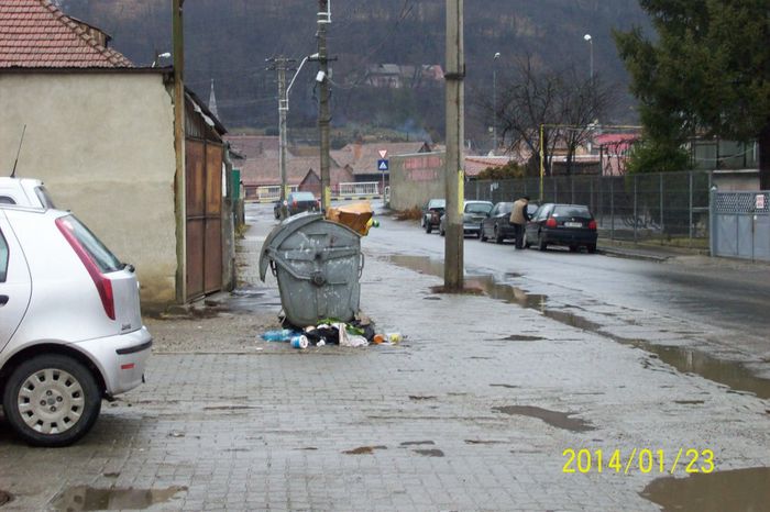 TOT LA SIGHISOARA CANDVA PERLA TRANSILVANIEI.. - DE GUSTIBUS  ET COLORIBUS NON DISPUTANDUM