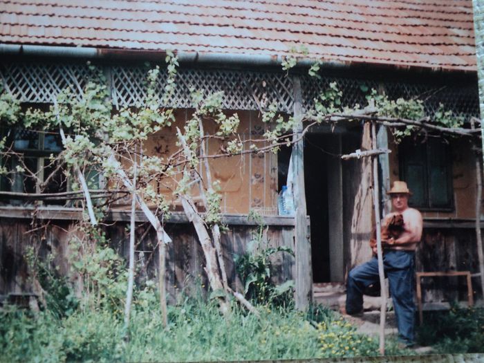 casa veche 2008 - LA SADINCA