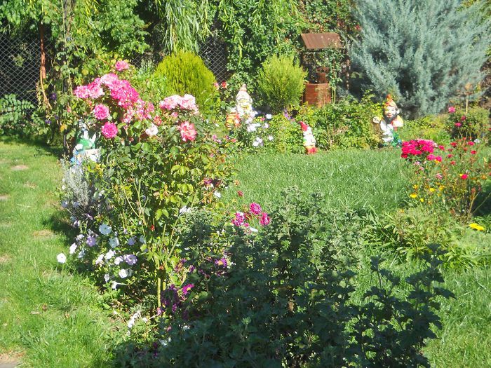Picture 034 - GRADINA NOASTRA