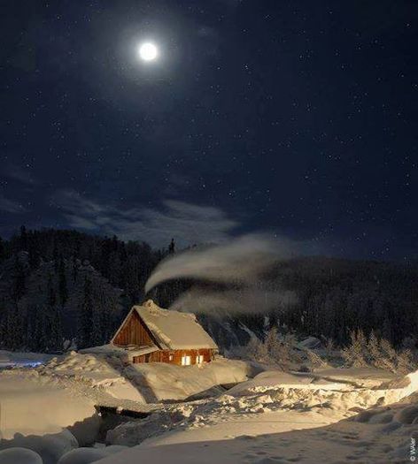 578170_628961400500025_1452023340_n - Natura si atat