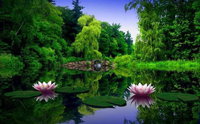 612161-1280x800-This-is-a-real-spring - Natura si atat