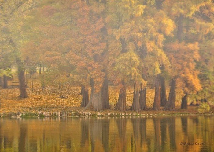 883723_413645155427597_1344744144_o - Natura si atat