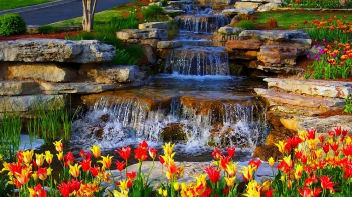 923072_251309841710356_341567694_n - Natura si atat