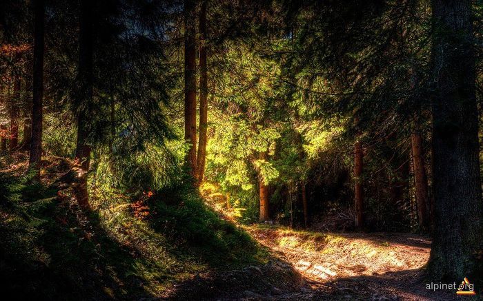 936966_506649806057658_808458763_n - Natura si atat