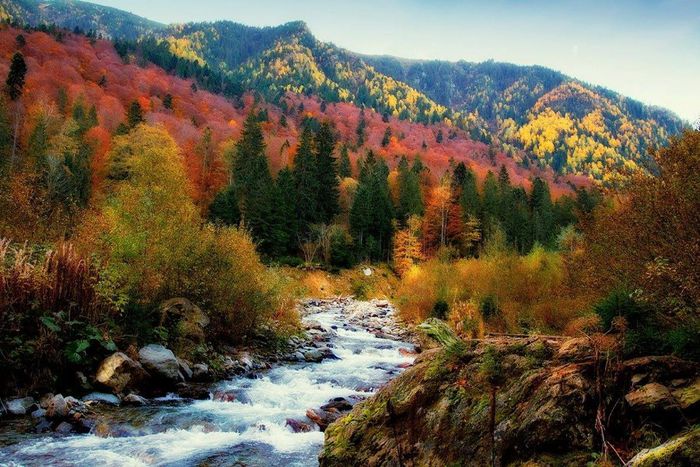 966407_425656100893169_1025773769_o - Natura si atat