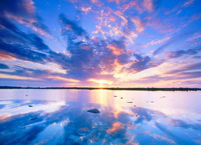 988808_686329471388250_599311745_n - Natura si atat